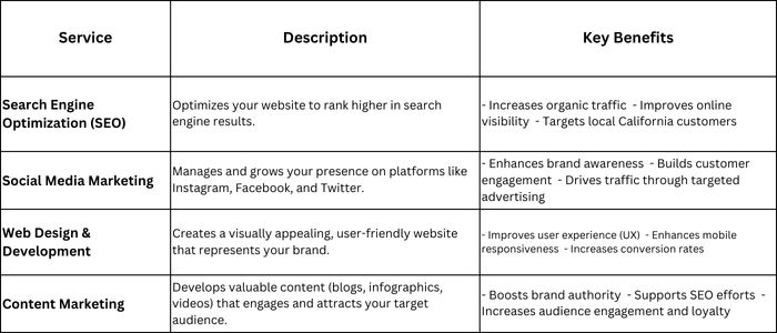 core services of a digital agency in California hazara digitals